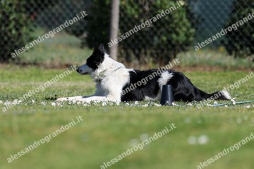 IMG_3361 (2).jpg