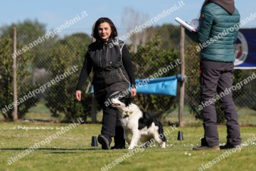IMG_3389 (2).jpg
