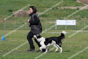 IMG_3426.jpg