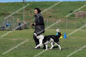 IMG_3438.jpg