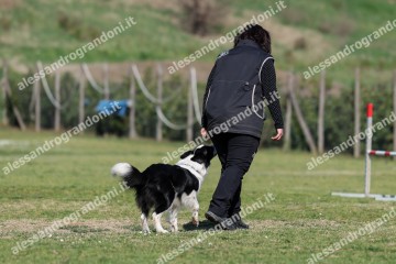 IMG_3457.jpg