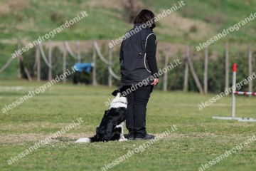 IMG_3463 (2).jpg