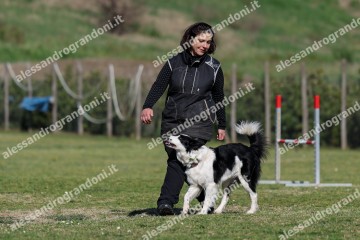 IMG_3470.jpg