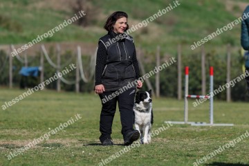 IMG_3475.jpg