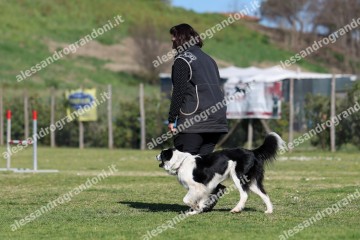 IMG_3488.jpg