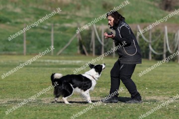 IMG_3497 (2).jpg