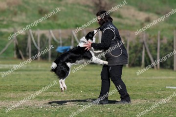 IMG_3503.jpg