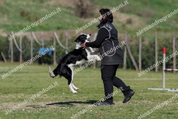 IMG_3507.jpg