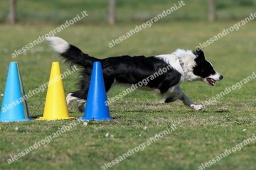 IMG_3592 (2).jpg