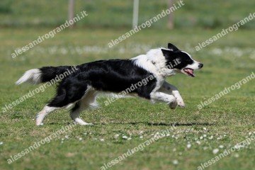 IMG_3602 (2).jpg