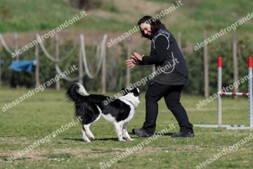 IMG_3646 (2).jpg