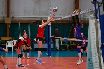 0N5A7544.jpg