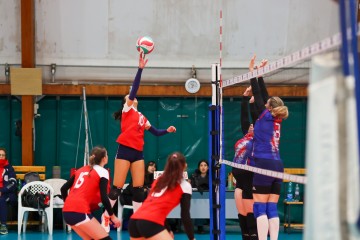 0N5A8830.jpg