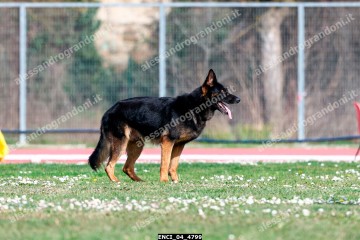 ENCI_04_4799.jpg