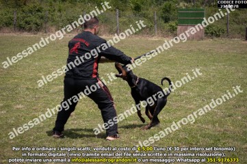 IMG9_21A0078.jpg