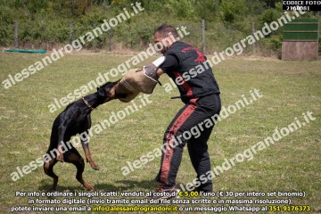 IMG9_21A0081.jpg