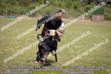 IMG9_21A0087.jpg