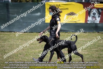 IMG_0316.jpg