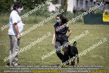 IMG_0324.jpg