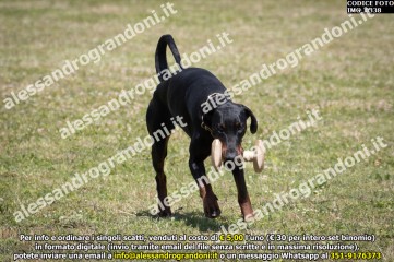 IMG_0338.jpg