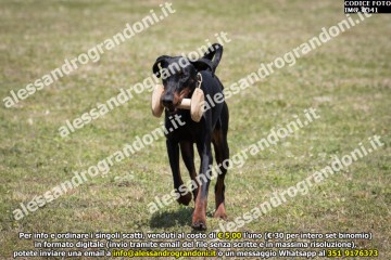 IMG_0341.jpg