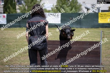 IMG_0342.jpg