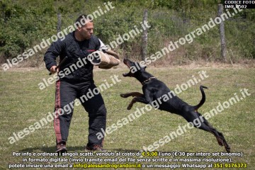 IMG_0502.jpg