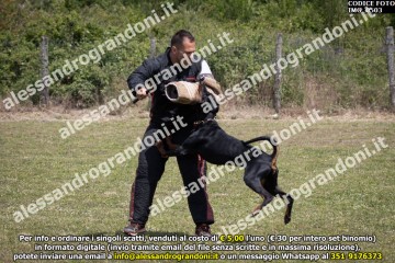 IMG_0503.jpg