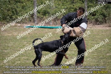 IMG_0512.jpg