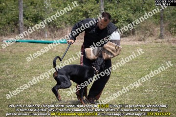 IMG_0514.jpg