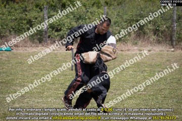 IMG_0518.jpg