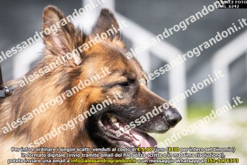 IMG_6242.jpg