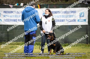 IMG_6379.jpg