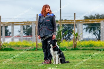 IMG_2317.jpg