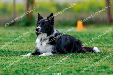 IMG_2349.jpg