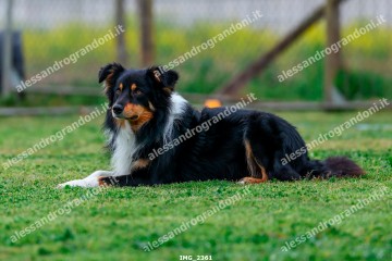 IMG_2361.jpg