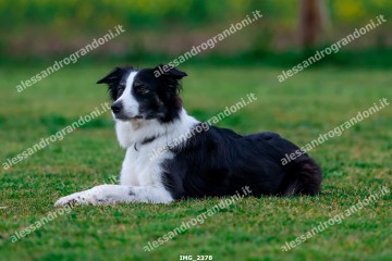 IMG_2378.jpg