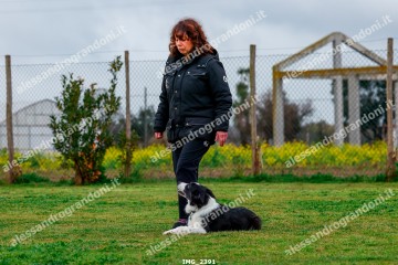 IMG_2391.jpg