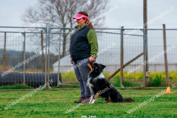 IMG_2416.jpg