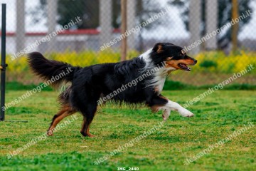 IMG_2440.jpg