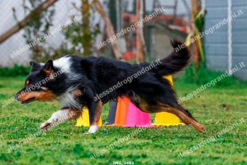 IMG_2463.jpg