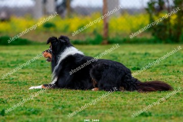 IMG_2489.jpg