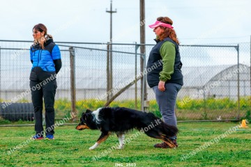 IMG_2503.jpg