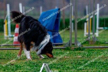 IMG_2521.jpg