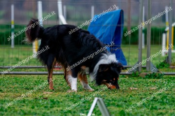 IMG_2528.jpg