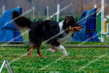 IMG_2533.jpg