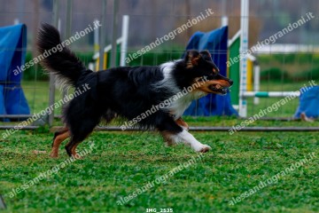 IMG_2535.jpg