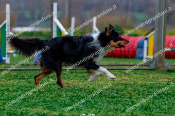 IMG_2546.jpg