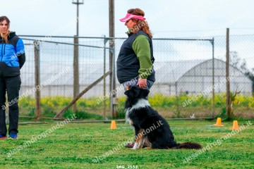 IMG_2552.jpg