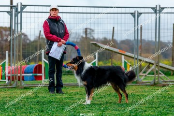 IMG_2567.jpg